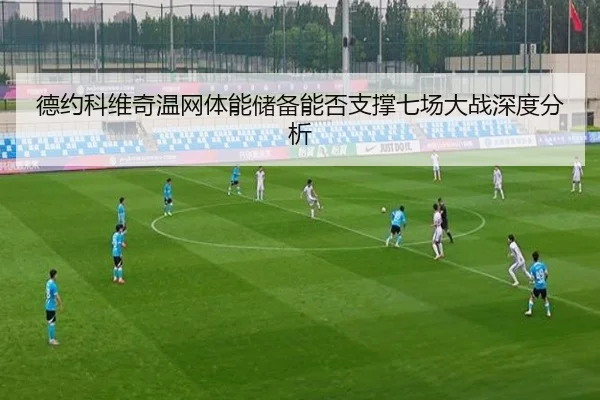 德约科维奇温网体能储备能否支撑七场大战深度分析